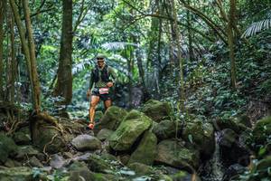 BIB: 
                            <button type="button" onclick="openModal(27989173)" class="btn btn-primary btn-sm float-right btn-popup" data-toggle="modal" data-target=".modal-high-quality">
                        <i class="fas fa-shopping-cart"></i> Add to Cart
                    </button>
                                            <button type="button" onclick="isThisMe(27989173, true)" class="btn btn-success btn-sm float-right btn-popup btn-isme hidden" data-toggle="tooltip" data-placement="bottom" title="นี่คือรูปของคุณใช่ไหม คลิกที่นี่เพื่อเอาเข้าอัลบั้ม">
                        <i class="fas fa-plus"></i> Add to album
                    </button>
                    <button type="button" onclick="isThisMe(27989173, false)" class="btn btn-warning btn-sm float-right btn-popup btn-isnotme hidden">
                        <i class="fas fa-ban"></i> Remove from album
                    </button>