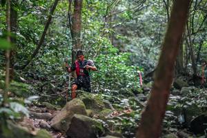 BIB: 
                            <button type="button" onclick="openModal(27988748)" class="btn btn-primary btn-sm float-right btn-popup" data-toggle="modal" data-target=".modal-high-quality">
                        <i class="fas fa-shopping-cart"></i> Add to Cart
                    </button>
                                            <button type="button" onclick="isThisMe(27988748, true)" class="btn btn-success btn-sm float-right btn-popup btn-isme hidden" data-toggle="tooltip" data-placement="bottom" title="นี่คือรูปของคุณใช่ไหม คลิกที่นี่เพื่อเอาเข้าอัลบั้ม">
                        <i class="fas fa-plus"></i> Add to album
                    </button>
                    <button type="button" onclick="isThisMe(27988748, false)" class="btn btn-warning btn-sm float-right btn-popup btn-isnotme hidden">
                        <i class="fas fa-ban"></i> Remove from album
                    </button>