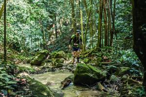 BIB: 
                            <button type="button" onclick="openModal(27989297)" class="btn btn-primary btn-sm float-right btn-popup" data-toggle="modal" data-target=".modal-high-quality">
                        <i class="fas fa-shopping-cart"></i> Add to Cart
                    </button>
                                            <button type="button" onclick="isThisMe(27989297, true)" class="btn btn-success btn-sm float-right btn-popup btn-isme hidden" data-toggle="tooltip" data-placement="bottom" title="นี่คือรูปของคุณใช่ไหม คลิกที่นี่เพื่อเอาเข้าอัลบั้ม">
                        <i class="fas fa-plus"></i> Add to album
                    </button>
                    <button type="button" onclick="isThisMe(27989297, false)" class="btn btn-warning btn-sm float-right btn-popup btn-isnotme hidden">
                        <i class="fas fa-ban"></i> Remove from album
                    </button>