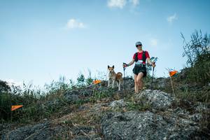 BIB: 
                            <button type="button" onclick="openModal(28128582)" class="btn btn-primary btn-sm float-right btn-popup" data-toggle="modal" data-target=".modal-high-quality">
                        <i class="fas fa-shopping-cart"></i> Add to Cart
                    </button>
                                            <button type="button" onclick="isThisMe(28128582, true)" class="btn btn-success btn-sm float-right btn-popup btn-isme hidden" data-toggle="tooltip" data-placement="bottom" title="นี่คือรูปของคุณใช่ไหม คลิกที่นี่เพื่อเอาเข้าอัลบั้ม">
                        <i class="fas fa-plus"></i> Add to album
                    </button>
                    <button type="button" onclick="isThisMe(28128582, false)" class="btn btn-warning btn-sm float-right btn-popup btn-isnotme hidden">
                        <i class="fas fa-ban"></i> Remove from album
                    </button>