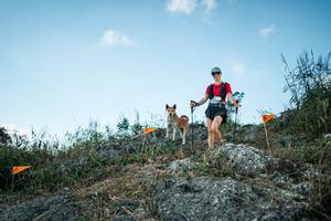 BIB: 
                            <button type="button" onclick="openModal(28128581)" class="btn btn-primary btn-sm float-right btn-popup" data-toggle="modal" data-target=".modal-high-quality">
                        <i class="fas fa-shopping-cart"></i> Add to Cart
                    </button>
                                            <button type="button" onclick="isThisMe(28128581, true)" class="btn btn-success btn-sm float-right btn-popup btn-isme hidden" data-toggle="tooltip" data-placement="bottom" title="นี่คือรูปของคุณใช่ไหม คลิกที่นี่เพื่อเอาเข้าอัลบั้ม">
                        <i class="fas fa-plus"></i> Add to album
                    </button>
                    <button type="button" onclick="isThisMe(28128581, false)" class="btn btn-warning btn-sm float-right btn-popup btn-isnotme hidden">
                        <i class="fas fa-ban"></i> Remove from album
                    </button>