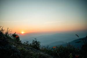 BIB: 
                            <button type="button" onclick="openModal(28131516)" class="btn btn-primary btn-sm float-right btn-popup" data-toggle="modal" data-target=".modal-high-quality">
                        <i class="fas fa-shopping-cart"></i> Add to Cart
                    </button>
                                            <button type="button" onclick="isThisMe(28131516, true)" class="btn btn-success btn-sm float-right btn-popup btn-isme hidden" data-toggle="tooltip" data-placement="bottom" title="นี่คือรูปของคุณใช่ไหม คลิกที่นี่เพื่อเอาเข้าอัลบั้ม">
                        <i class="fas fa-plus"></i> Add to album
                    </button>
                    <button type="button" onclick="isThisMe(28131516, false)" class="btn btn-warning btn-sm float-right btn-popup btn-isnotme hidden">
                        <i class="fas fa-ban"></i> Remove from album
                    </button>