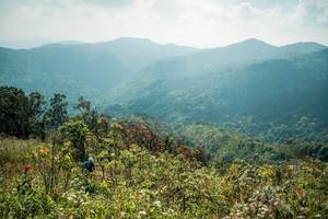 BIB: 
                            <button type="button" onclick="openModal(28139532)" class="btn btn-primary btn-sm float-right btn-popup" data-toggle="modal" data-target=".modal-high-quality">
                        <i class="fas fa-shopping-cart"></i> Add to Cart
                    </button>
                                            <button type="button" onclick="isThisMe(28139532, true)" class="btn btn-success btn-sm float-right btn-popup btn-isme hidden" data-toggle="tooltip" data-placement="bottom" title="นี่คือรูปของคุณใช่ไหม คลิกที่นี่เพื่อเอาเข้าอัลบั้ม">
                        <i class="fas fa-plus"></i> Add to album
                    </button>
                    <button type="button" onclick="isThisMe(28139532, false)" class="btn btn-warning btn-sm float-right btn-popup btn-isnotme hidden">
                        <i class="fas fa-ban"></i> Remove from album
                    </button>