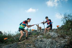 BIB: 
                            <button type="button" onclick="openModal(28104241)" class="btn btn-primary btn-sm float-right btn-popup" data-toggle="modal" data-target=".modal-high-quality">
                        <i class="fas fa-shopping-cart"></i> Add to Cart
                    </button>
                                            <button type="button" onclick="isThisMe(28104241, true)" class="btn btn-success btn-sm float-right btn-popup btn-isme hidden" data-toggle="tooltip" data-placement="bottom" title="นี่คือรูปของคุณใช่ไหม คลิกที่นี่เพื่อเอาเข้าอัลบั้ม">
                        <i class="fas fa-plus"></i> Add to album
                    </button>
                    <button type="button" onclick="isThisMe(28104241, false)" class="btn btn-warning btn-sm float-right btn-popup btn-isnotme hidden">
                        <i class="fas fa-ban"></i> Remove from album
                    </button>