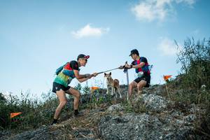 BIB: 
                            <button type="button" onclick="openModal(28104242)" class="btn btn-primary btn-sm float-right btn-popup" data-toggle="modal" data-target=".modal-high-quality">
                        <i class="fas fa-shopping-cart"></i> Add to Cart
                    </button>
                                            <button type="button" onclick="isThisMe(28104242, true)" class="btn btn-success btn-sm float-right btn-popup btn-isme hidden" data-toggle="tooltip" data-placement="bottom" title="นี่คือรูปของคุณใช่ไหม คลิกที่นี่เพื่อเอาเข้าอัลบั้ม">
                        <i class="fas fa-plus"></i> Add to album
                    </button>
                    <button type="button" onclick="isThisMe(28104242, false)" class="btn btn-warning btn-sm float-right btn-popup btn-isnotme hidden">
                        <i class="fas fa-ban"></i> Remove from album
                    </button>