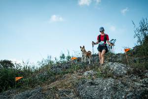 BIB: 
                            <button type="button" onclick="openModal(28104265)" class="btn btn-primary btn-sm float-right btn-popup" data-toggle="modal" data-target=".modal-high-quality">
                        <i class="fas fa-shopping-cart"></i> Add to Cart
                    </button>
                                            <button type="button" onclick="isThisMe(28104265, true)" class="btn btn-success btn-sm float-right btn-popup btn-isme hidden" data-toggle="tooltip" data-placement="bottom" title="นี่คือรูปของคุณใช่ไหม คลิกที่นี่เพื่อเอาเข้าอัลบั้ม">
                        <i class="fas fa-plus"></i> Add to album
                    </button>
                    <button type="button" onclick="isThisMe(28104265, false)" class="btn btn-warning btn-sm float-right btn-popup btn-isnotme hidden">
                        <i class="fas fa-ban"></i> Remove from album
                    </button>