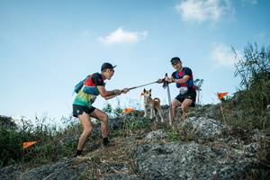 BIB: 
                            <button type="button" onclick="openModal(28104238)" class="btn btn-primary btn-sm float-right btn-popup" data-toggle="modal" data-target=".modal-high-quality">
                        <i class="fas fa-shopping-cart"></i> Add to Cart
                    </button>
                                            <button type="button" onclick="isThisMe(28104238, true)" class="btn btn-success btn-sm float-right btn-popup btn-isme hidden" data-toggle="tooltip" data-placement="bottom" title="นี่คือรูปของคุณใช่ไหม คลิกที่นี่เพื่อเอาเข้าอัลบั้ม">
                        <i class="fas fa-plus"></i> Add to album
                    </button>
                    <button type="button" onclick="isThisMe(28104238, false)" class="btn btn-warning btn-sm float-right btn-popup btn-isnotme hidden">
                        <i class="fas fa-ban"></i> Remove from album
                    </button>