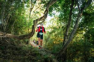 BIB: 
                            <button type="button" onclick="openModal(27944509)" class="btn btn-primary btn-sm float-right btn-popup" data-toggle="modal" data-target=".modal-high-quality">
                        <i class="fas fa-shopping-cart"></i> Add to Cart
                    </button>
                                            <button type="button" onclick="isThisMe(27944509, true)" class="btn btn-success btn-sm float-right btn-popup btn-isme hidden" data-toggle="tooltip" data-placement="bottom" title="นี่คือรูปของคุณใช่ไหม คลิกที่นี่เพื่อเอาเข้าอัลบั้ม">
                        <i class="fas fa-plus"></i> Add to album
                    </button>
                    <button type="button" onclick="isThisMe(27944509, false)" class="btn btn-warning btn-sm float-right btn-popup btn-isnotme hidden">
                        <i class="fas fa-ban"></i> Remove from album
                    </button>