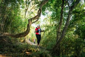 BIB: 
                            <button type="button" onclick="openModal(27945413)" class="btn btn-primary btn-sm float-right btn-popup" data-toggle="modal" data-target=".modal-high-quality">
                        <i class="fas fa-shopping-cart"></i> Add to Cart
                    </button>
                                            <button type="button" onclick="isThisMe(27945413, true)" class="btn btn-success btn-sm float-right btn-popup btn-isme hidden" data-toggle="tooltip" data-placement="bottom" title="นี่คือรูปของคุณใช่ไหม คลิกที่นี่เพื่อเอาเข้าอัลบั้ม">
                        <i class="fas fa-plus"></i> Add to album
                    </button>
                    <button type="button" onclick="isThisMe(27945413, false)" class="btn btn-warning btn-sm float-right btn-popup btn-isnotme hidden">
                        <i class="fas fa-ban"></i> Remove from album
                    </button>