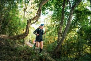 BIB: 
                            <button type="button" onclick="openModal(27944914)" class="btn btn-primary btn-sm float-right btn-popup" data-toggle="modal" data-target=".modal-high-quality">
                        <i class="fas fa-shopping-cart"></i> Add to Cart
                    </button>
                                            <button type="button" onclick="isThisMe(27944914, true)" class="btn btn-success btn-sm float-right btn-popup btn-isme hidden" data-toggle="tooltip" data-placement="bottom" title="นี่คือรูปของคุณใช่ไหม คลิกที่นี่เพื่อเอาเข้าอัลบั้ม">
                        <i class="fas fa-plus"></i> Add to album
                    </button>
                    <button type="button" onclick="isThisMe(27944914, false)" class="btn btn-warning btn-sm float-right btn-popup btn-isnotme hidden">
                        <i class="fas fa-ban"></i> Remove from album
                    </button>