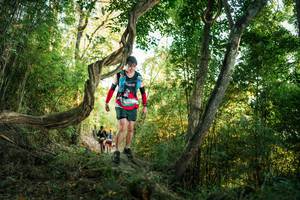 BIB: 
                            <button type="button" onclick="openModal(27944625)" class="btn btn-primary btn-sm float-right btn-popup" data-toggle="modal" data-target=".modal-high-quality">
                        <i class="fas fa-shopping-cart"></i> Add to Cart
                    </button>
                                            <button type="button" onclick="isThisMe(27944625, true)" class="btn btn-success btn-sm float-right btn-popup btn-isme hidden" data-toggle="tooltip" data-placement="bottom" title="นี่คือรูปของคุณใช่ไหม คลิกที่นี่เพื่อเอาเข้าอัลบั้ม">
                        <i class="fas fa-plus"></i> Add to album
                    </button>
                    <button type="button" onclick="isThisMe(27944625, false)" class="btn btn-warning btn-sm float-right btn-popup btn-isnotme hidden">
                        <i class="fas fa-ban"></i> Remove from album
                    </button>