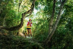 BIB: 
                            <button type="button" onclick="openModal(27945607)" class="btn btn-primary btn-sm float-right btn-popup" data-toggle="modal" data-target=".modal-high-quality">
                        <i class="fas fa-shopping-cart"></i> Add to Cart
                    </button>
                                            <button type="button" onclick="isThisMe(27945607, true)" class="btn btn-success btn-sm float-right btn-popup btn-isme hidden" data-toggle="tooltip" data-placement="bottom" title="นี่คือรูปของคุณใช่ไหม คลิกที่นี่เพื่อเอาเข้าอัลบั้ม">
                        <i class="fas fa-plus"></i> Add to album
                    </button>
                    <button type="button" onclick="isThisMe(27945607, false)" class="btn btn-warning btn-sm float-right btn-popup btn-isnotme hidden">
                        <i class="fas fa-ban"></i> Remove from album
                    </button>