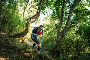 BIB: 
                            <button type="button" onclick="openModal(27945483)" class="btn btn-primary btn-sm float-right btn-popup" data-toggle="modal" data-target=".modal-high-quality">
                        <i class="fas fa-shopping-cart"></i> Add to Cart
                    </button>
                                            <button type="button" onclick="isThisMe(27945483, true)" class="btn btn-success btn-sm float-right btn-popup btn-isme hidden" data-toggle="tooltip" data-placement="bottom" title="นี่คือรูปของคุณใช่ไหม คลิกที่นี่เพื่อเอาเข้าอัลบั้ม">
                        <i class="fas fa-plus"></i> Add to album
                    </button>
                    <button type="button" onclick="isThisMe(27945483, false)" class="btn btn-warning btn-sm float-right btn-popup btn-isnotme hidden">
                        <i class="fas fa-ban"></i> Remove from album
                    </button>