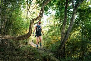 BIB: 
                            <button type="button" onclick="openModal(27944906)" class="btn btn-primary btn-sm float-right btn-popup" data-toggle="modal" data-target=".modal-high-quality">
                        <i class="fas fa-shopping-cart"></i> Add to Cart
                    </button>
                                            <button type="button" onclick="isThisMe(27944906, true)" class="btn btn-success btn-sm float-right btn-popup btn-isme hidden" data-toggle="tooltip" data-placement="bottom" title="นี่คือรูปของคุณใช่ไหม คลิกที่นี่เพื่อเอาเข้าอัลบั้ม">
                        <i class="fas fa-plus"></i> Add to album
                    </button>
                    <button type="button" onclick="isThisMe(27944906, false)" class="btn btn-warning btn-sm float-right btn-popup btn-isnotme hidden">
                        <i class="fas fa-ban"></i> Remove from album
                    </button>