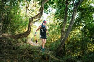 BIB: 
                            <button type="button" onclick="openModal(27944908)" class="btn btn-primary btn-sm float-right btn-popup" data-toggle="modal" data-target=".modal-high-quality">
                        <i class="fas fa-shopping-cart"></i> Add to Cart
                    </button>
                                            <button type="button" onclick="isThisMe(27944908, true)" class="btn btn-success btn-sm float-right btn-popup btn-isme hidden" data-toggle="tooltip" data-placement="bottom" title="นี่คือรูปของคุณใช่ไหม คลิกที่นี่เพื่อเอาเข้าอัลบั้ม">
                        <i class="fas fa-plus"></i> Add to album
                    </button>
                    <button type="button" onclick="isThisMe(27944908, false)" class="btn btn-warning btn-sm float-right btn-popup btn-isnotme hidden">
                        <i class="fas fa-ban"></i> Remove from album
                    </button>