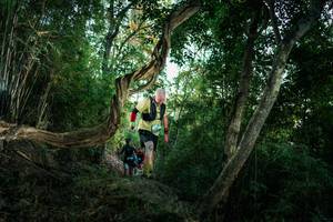 BIB: 
                            <button type="button" onclick="openModal(27942547)" class="btn btn-primary btn-sm float-right btn-popup" data-toggle="modal" data-target=".modal-high-quality">
                        <i class="fas fa-shopping-cart"></i> Add to Cart
                    </button>
                                            <button type="button" onclick="isThisMe(27942547, true)" class="btn btn-success btn-sm float-right btn-popup btn-isme hidden" data-toggle="tooltip" data-placement="bottom" title="นี่คือรูปของคุณใช่ไหม คลิกที่นี่เพื่อเอาเข้าอัลบั้ม">
                        <i class="fas fa-plus"></i> Add to album
                    </button>
                    <button type="button" onclick="isThisMe(27942547, false)" class="btn btn-warning btn-sm float-right btn-popup btn-isnotme hidden">
                        <i class="fas fa-ban"></i> Remove from album
                    </button>