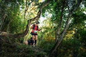 BIB: 
                            <button type="button" onclick="openModal(27943878)" class="btn btn-primary btn-sm float-right btn-popup" data-toggle="modal" data-target=".modal-high-quality">
                        <i class="fas fa-shopping-cart"></i> Add to Cart
                    </button>
                                            <button type="button" onclick="isThisMe(27943878, true)" class="btn btn-success btn-sm float-right btn-popup btn-isme hidden" data-toggle="tooltip" data-placement="bottom" title="นี่คือรูปของคุณใช่ไหม คลิกที่นี่เพื่อเอาเข้าอัลบั้ม">
                        <i class="fas fa-plus"></i> Add to album
                    </button>
                    <button type="button" onclick="isThisMe(27943878, false)" class="btn btn-warning btn-sm float-right btn-popup btn-isnotme hidden">
                        <i class="fas fa-ban"></i> Remove from album
                    </button>