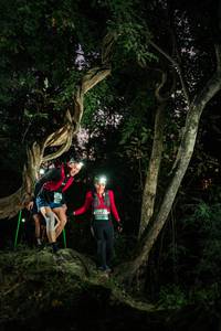 BIB: 
                            <button type="button" onclick="openModal(27940934)" class="btn btn-primary btn-sm float-right btn-popup" data-toggle="modal" data-target=".modal-high-quality">
                        <i class="fas fa-shopping-cart"></i> Add to Cart
                    </button>
                                            <button type="button" onclick="isThisMe(27940934, true)" class="btn btn-success btn-sm float-right btn-popup btn-isme hidden" data-toggle="tooltip" data-placement="bottom" title="นี่คือรูปของคุณใช่ไหม คลิกที่นี่เพื่อเอาเข้าอัลบั้ม">
                        <i class="fas fa-plus"></i> Add to album
                    </button>
                    <button type="button" onclick="isThisMe(27940934, false)" class="btn btn-warning btn-sm float-right btn-popup btn-isnotme hidden">
                        <i class="fas fa-ban"></i> Remove from album
                    </button>