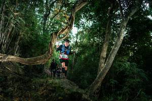 BIB: 
                            <button type="button" onclick="openModal(27941995)" class="btn btn-primary btn-sm float-right btn-popup" data-toggle="modal" data-target=".modal-high-quality">
                        <i class="fas fa-shopping-cart"></i> Add to Cart
                    </button>
                                            <button type="button" onclick="isThisMe(27941995, true)" class="btn btn-success btn-sm float-right btn-popup btn-isme hidden" data-toggle="tooltip" data-placement="bottom" title="นี่คือรูปของคุณใช่ไหม คลิกที่นี่เพื่อเอาเข้าอัลบั้ม">
                        <i class="fas fa-plus"></i> Add to album
                    </button>
                    <button type="button" onclick="isThisMe(27941995, false)" class="btn btn-warning btn-sm float-right btn-popup btn-isnotme hidden">
                        <i class="fas fa-ban"></i> Remove from album
                    </button>