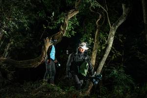 BIB: 
                            <button type="button" onclick="openModal(27935829)" class="btn btn-primary btn-sm float-right btn-popup" data-toggle="modal" data-target=".modal-high-quality">
                        <i class="fas fa-shopping-cart"></i> Add to Cart
                    </button>
                                            <button type="button" onclick="isThisMe(27935829, true)" class="btn btn-success btn-sm float-right btn-popup btn-isme hidden" data-toggle="tooltip" data-placement="bottom" title="นี่คือรูปของคุณใช่ไหม คลิกที่นี่เพื่อเอาเข้าอัลบั้ม">
                        <i class="fas fa-plus"></i> Add to album
                    </button>
                    <button type="button" onclick="isThisMe(27935829, false)" class="btn btn-warning btn-sm float-right btn-popup btn-isnotme hidden">
                        <i class="fas fa-ban"></i> Remove from album
                    </button>