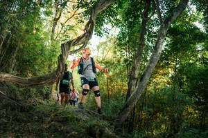 BIB: 
                            <button type="button" onclick="openModal(27943999)" class="btn btn-primary btn-sm float-right btn-popup" data-toggle="modal" data-target=".modal-high-quality">
                        <i class="fas fa-shopping-cart"></i> Add to Cart
                    </button>
                                            <button type="button" onclick="isThisMe(27943999, true)" class="btn btn-success btn-sm float-right btn-popup btn-isme hidden" data-toggle="tooltip" data-placement="bottom" title="นี่คือรูปของคุณใช่ไหม คลิกที่นี่เพื่อเอาเข้าอัลบั้ม">
                        <i class="fas fa-plus"></i> Add to album
                    </button>
                    <button type="button" onclick="isThisMe(27943999, false)" class="btn btn-warning btn-sm float-right btn-popup btn-isnotme hidden">
                        <i class="fas fa-ban"></i> Remove from album
                    </button>