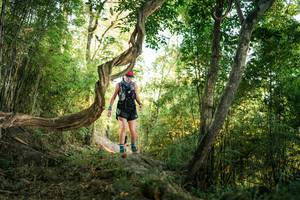 BIB: 
                            <button type="button" onclick="openModal(27944905)" class="btn btn-primary btn-sm float-right btn-popup" data-toggle="modal" data-target=".modal-high-quality">
                        <i class="fas fa-shopping-cart"></i> Add to Cart
                    </button>
                                            <button type="button" onclick="isThisMe(27944905, true)" class="btn btn-success btn-sm float-right btn-popup btn-isme hidden" data-toggle="tooltip" data-placement="bottom" title="นี่คือรูปของคุณใช่ไหม คลิกที่นี่เพื่อเอาเข้าอัลบั้ม">
                        <i class="fas fa-plus"></i> Add to album
                    </button>
                    <button type="button" onclick="isThisMe(27944905, false)" class="btn btn-warning btn-sm float-right btn-popup btn-isnotme hidden">
                        <i class="fas fa-ban"></i> Remove from album
                    </button>