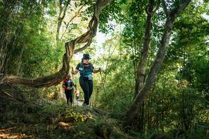 BIB: 
                            <button type="button" onclick="openModal(27945401)" class="btn btn-primary btn-sm float-right btn-popup" data-toggle="modal" data-target=".modal-high-quality">
                        <i class="fas fa-shopping-cart"></i> Add to Cart
                    </button>
                                            <button type="button" onclick="isThisMe(27945401, true)" class="btn btn-success btn-sm float-right btn-popup btn-isme hidden" data-toggle="tooltip" data-placement="bottom" title="นี่คือรูปของคุณใช่ไหม คลิกที่นี่เพื่อเอาเข้าอัลบั้ม">
                        <i class="fas fa-plus"></i> Add to album
                    </button>
                    <button type="button" onclick="isThisMe(27945401, false)" class="btn btn-warning btn-sm float-right btn-popup btn-isnotme hidden">
                        <i class="fas fa-ban"></i> Remove from album
                    </button>