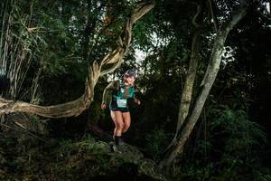 BIB: 
                            <button type="button" onclick="openModal(27941527)" class="btn btn-primary btn-sm float-right btn-popup" data-toggle="modal" data-target=".modal-high-quality">
                        <i class="fas fa-shopping-cart"></i> Add to Cart
                    </button>
                                            <button type="button" onclick="isThisMe(27941527, true)" class="btn btn-success btn-sm float-right btn-popup btn-isme hidden" data-toggle="tooltip" data-placement="bottom" title="นี่คือรูปของคุณใช่ไหม คลิกที่นี่เพื่อเอาเข้าอัลบั้ม">
                        <i class="fas fa-plus"></i> Add to album
                    </button>
                    <button type="button" onclick="isThisMe(27941527, false)" class="btn btn-warning btn-sm float-right btn-popup btn-isnotme hidden">
                        <i class="fas fa-ban"></i> Remove from album
                    </button>