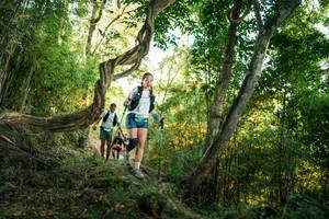 BIB: 
                            <button type="button" onclick="openModal(27944728)" class="btn btn-primary btn-sm float-right btn-popup" data-toggle="modal" data-target=".modal-high-quality">
                        <i class="fas fa-shopping-cart"></i> Add to Cart
                    </button>
                                            <button type="button" onclick="isThisMe(27944728, true)" class="btn btn-success btn-sm float-right btn-popup btn-isme hidden" data-toggle="tooltip" data-placement="bottom" title="นี่คือรูปของคุณใช่ไหม คลิกที่นี่เพื่อเอาเข้าอัลบั้ม">
                        <i class="fas fa-plus"></i> Add to album
                    </button>
                    <button type="button" onclick="isThisMe(27944728, false)" class="btn btn-warning btn-sm float-right btn-popup btn-isnotme hidden">
                        <i class="fas fa-ban"></i> Remove from album
                    </button>