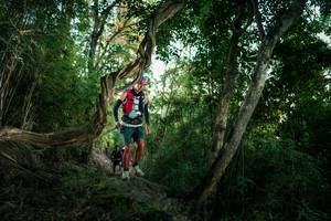 BIB: 
                            <button type="button" onclick="openModal(27942724)" class="btn btn-primary btn-sm float-right btn-popup" data-toggle="modal" data-target=".modal-high-quality">
                        <i class="fas fa-shopping-cart"></i> Add to Cart
                    </button>
                                            <button type="button" onclick="isThisMe(27942724, true)" class="btn btn-success btn-sm float-right btn-popup btn-isme hidden" data-toggle="tooltip" data-placement="bottom" title="นี่คือรูปของคุณใช่ไหม คลิกที่นี่เพื่อเอาเข้าอัลบั้ม">
                        <i class="fas fa-plus"></i> Add to album
                    </button>
                    <button type="button" onclick="isThisMe(27942724, false)" class="btn btn-warning btn-sm float-right btn-popup btn-isnotme hidden">
                        <i class="fas fa-ban"></i> Remove from album
                    </button>