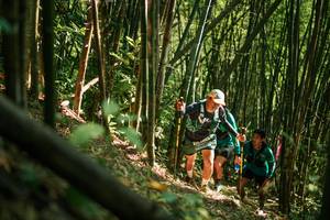 BIB: 
                            <button type="button" onclick="openModal(27922656)" class="btn btn-primary btn-sm float-right btn-popup" data-toggle="modal" data-target=".modal-high-quality">
                        <i class="fas fa-shopping-cart"></i> Add to Cart
                    </button>
                                            <button type="button" onclick="isThisMe(27922656, true)" class="btn btn-success btn-sm float-right btn-popup btn-isme hidden" data-toggle="tooltip" data-placement="bottom" title="นี่คือรูปของคุณใช่ไหม คลิกที่นี่เพื่อเอาเข้าอัลบั้ม">
                        <i class="fas fa-plus"></i> Add to album
                    </button>
                    <button type="button" onclick="isThisMe(27922656, false)" class="btn btn-warning btn-sm float-right btn-popup btn-isnotme hidden">
                        <i class="fas fa-ban"></i> Remove from album
                    </button>