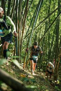 BIB: 
                            <button type="button" onclick="openModal(27923470)" class="btn btn-primary btn-sm float-right btn-popup" data-toggle="modal" data-target=".modal-high-quality">
                        <i class="fas fa-shopping-cart"></i> Add to Cart
                    </button>
                                            <button type="button" onclick="isThisMe(27923470, true)" class="btn btn-success btn-sm float-right btn-popup btn-isme hidden" data-toggle="tooltip" data-placement="bottom" title="นี่คือรูปของคุณใช่ไหม คลิกที่นี่เพื่อเอาเข้าอัลบั้ม">
                        <i class="fas fa-plus"></i> Add to album
                    </button>
                    <button type="button" onclick="isThisMe(27923470, false)" class="btn btn-warning btn-sm float-right btn-popup btn-isnotme hidden">
                        <i class="fas fa-ban"></i> Remove from album
                    </button>