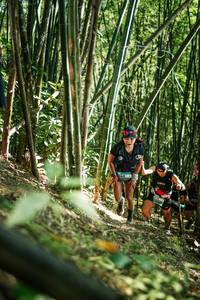 BIB: 
                            <button type="button" onclick="openModal(27924186)" class="btn btn-primary btn-sm float-right btn-popup" data-toggle="modal" data-target=".modal-high-quality">
                        <i class="fas fa-shopping-cart"></i> Add to Cart
                    </button>
                                            <button type="button" onclick="isThisMe(27924186, true)" class="btn btn-success btn-sm float-right btn-popup btn-isme hidden" data-toggle="tooltip" data-placement="bottom" title="นี่คือรูปของคุณใช่ไหม คลิกที่นี่เพื่อเอาเข้าอัลบั้ม">
                        <i class="fas fa-plus"></i> Add to album
                    </button>
                    <button type="button" onclick="isThisMe(27924186, false)" class="btn btn-warning btn-sm float-right btn-popup btn-isnotme hidden">
                        <i class="fas fa-ban"></i> Remove from album
                    </button>