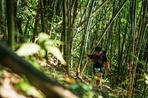 BIB: 
                            <button type="button" onclick="openModal(27924778)" class="btn btn-primary btn-sm float-right btn-popup" data-toggle="modal" data-target=".modal-high-quality">
                        <i class="fas fa-shopping-cart"></i> Add to Cart
                    </button>
                                            <button type="button" onclick="isThisMe(27924778, true)" class="btn btn-success btn-sm float-right btn-popup btn-isme hidden" data-toggle="tooltip" data-placement="bottom" title="นี่คือรูปของคุณใช่ไหม คลิกที่นี่เพื่อเอาเข้าอัลบั้ม">
                        <i class="fas fa-plus"></i> Add to album
                    </button>
                    <button type="button" onclick="isThisMe(27924778, false)" class="btn btn-warning btn-sm float-right btn-popup btn-isnotme hidden">
                        <i class="fas fa-ban"></i> Remove from album
                    </button>