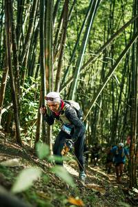 BIB: 
                            <button type="button" onclick="openModal(27923981)" class="btn btn-primary btn-sm float-right btn-popup" data-toggle="modal" data-target=".modal-high-quality">
                        <i class="fas fa-shopping-cart"></i> Add to Cart
                    </button>
                                            <button type="button" onclick="isThisMe(27923981, true)" class="btn btn-success btn-sm float-right btn-popup btn-isme hidden" data-toggle="tooltip" data-placement="bottom" title="นี่คือรูปของคุณใช่ไหม คลิกที่นี่เพื่อเอาเข้าอัลบั้ม">
                        <i class="fas fa-plus"></i> Add to album
                    </button>
                    <button type="button" onclick="isThisMe(27923981, false)" class="btn btn-warning btn-sm float-right btn-popup btn-isnotme hidden">
                        <i class="fas fa-ban"></i> Remove from album
                    </button>