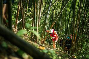 BIB: 
                            <button type="button" onclick="openModal(27923872)" class="btn btn-primary btn-sm float-right btn-popup" data-toggle="modal" data-target=".modal-high-quality">
                        <i class="fas fa-shopping-cart"></i> Add to Cart
                    </button>
                                            <button type="button" onclick="isThisMe(27923872, true)" class="btn btn-success btn-sm float-right btn-popup btn-isme hidden" data-toggle="tooltip" data-placement="bottom" title="นี่คือรูปของคุณใช่ไหม คลิกที่นี่เพื่อเอาเข้าอัลบั้ม">
                        <i class="fas fa-plus"></i> Add to album
                    </button>
                    <button type="button" onclick="isThisMe(27923872, false)" class="btn btn-warning btn-sm float-right btn-popup btn-isnotme hidden">
                        <i class="fas fa-ban"></i> Remove from album
                    </button>