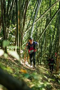 BIB: 
                            <button type="button" onclick="openModal(27924406)" class="btn btn-primary btn-sm float-right btn-popup" data-toggle="modal" data-target=".modal-high-quality">
                        <i class="fas fa-shopping-cart"></i> Add to Cart
                    </button>
                                            <button type="button" onclick="isThisMe(27924406, true)" class="btn btn-success btn-sm float-right btn-popup btn-isme hidden" data-toggle="tooltip" data-placement="bottom" title="นี่คือรูปของคุณใช่ไหม คลิกที่นี่เพื่อเอาเข้าอัลบั้ม">
                        <i class="fas fa-plus"></i> Add to album
                    </button>
                    <button type="button" onclick="isThisMe(27924406, false)" class="btn btn-warning btn-sm float-right btn-popup btn-isnotme hidden">
                        <i class="fas fa-ban"></i> Remove from album
                    </button>