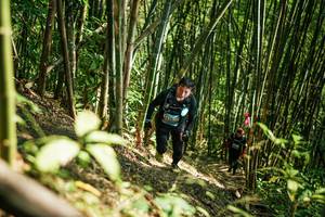 BIB: 
                            <button type="button" onclick="openModal(27925860)" class="btn btn-primary btn-sm float-right btn-popup" data-toggle="modal" data-target=".modal-high-quality">
                        <i class="fas fa-shopping-cart"></i> Add to Cart
                    </button>
                                            <button type="button" onclick="isThisMe(27925860, true)" class="btn btn-success btn-sm float-right btn-popup btn-isme hidden" data-toggle="tooltip" data-placement="bottom" title="นี่คือรูปของคุณใช่ไหม คลิกที่นี่เพื่อเอาเข้าอัลบั้ม">
                        <i class="fas fa-plus"></i> Add to album
                    </button>
                    <button type="button" onclick="isThisMe(27925860, false)" class="btn btn-warning btn-sm float-right btn-popup btn-isnotme hidden">
                        <i class="fas fa-ban"></i> Remove from album
                    </button>