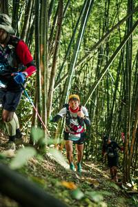 BIB: 
                            <button type="button" onclick="openModal(27923924)" class="btn btn-primary btn-sm float-right btn-popup" data-toggle="modal" data-target=".modal-high-quality">
                        <i class="fas fa-shopping-cart"></i> Add to Cart
                    </button>
                                            <button type="button" onclick="isThisMe(27923924, true)" class="btn btn-success btn-sm float-right btn-popup btn-isme hidden" data-toggle="tooltip" data-placement="bottom" title="นี่คือรูปของคุณใช่ไหม คลิกที่นี่เพื่อเอาเข้าอัลบั้ม">
                        <i class="fas fa-plus"></i> Add to album
                    </button>
                    <button type="button" onclick="isThisMe(27923924, false)" class="btn btn-warning btn-sm float-right btn-popup btn-isnotme hidden">
                        <i class="fas fa-ban"></i> Remove from album
                    </button>