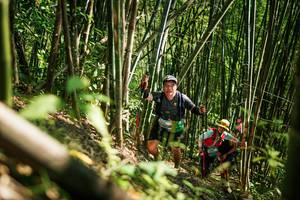 BIB: 
                            <button type="button" onclick="openModal(27925444)" class="btn btn-primary btn-sm float-right btn-popup" data-toggle="modal" data-target=".modal-high-quality">
                        <i class="fas fa-shopping-cart"></i> Add to Cart
                    </button>
                                            <button type="button" onclick="isThisMe(27925444, true)" class="btn btn-success btn-sm float-right btn-popup btn-isme hidden" data-toggle="tooltip" data-placement="bottom" title="นี่คือรูปของคุณใช่ไหม คลิกที่นี่เพื่อเอาเข้าอัลบั้ม">
                        <i class="fas fa-plus"></i> Add to album
                    </button>
                    <button type="button" onclick="isThisMe(27925444, false)" class="btn btn-warning btn-sm float-right btn-popup btn-isnotme hidden">
                        <i class="fas fa-ban"></i> Remove from album
                    </button>