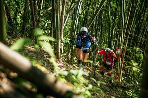 BIB: 
                            <button type="button" onclick="openModal(27925354)" class="btn btn-primary btn-sm float-right btn-popup" data-toggle="modal" data-target=".modal-high-quality">
                        <i class="fas fa-shopping-cart"></i> Add to Cart
                    </button>
                                            <button type="button" onclick="isThisMe(27925354, true)" class="btn btn-success btn-sm float-right btn-popup btn-isme hidden" data-toggle="tooltip" data-placement="bottom" title="นี่คือรูปของคุณใช่ไหม คลิกที่นี่เพื่อเอาเข้าอัลบั้ม">
                        <i class="fas fa-plus"></i> Add to album
                    </button>
                    <button type="button" onclick="isThisMe(27925354, false)" class="btn btn-warning btn-sm float-right btn-popup btn-isnotme hidden">
                        <i class="fas fa-ban"></i> Remove from album
                    </button>