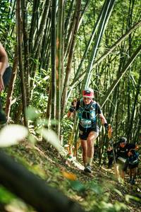 BIB: 
                            <button type="button" onclick="openModal(27924364)" class="btn btn-primary btn-sm float-right btn-popup" data-toggle="modal" data-target=".modal-high-quality">
                        <i class="fas fa-shopping-cart"></i> Add to Cart
                    </button>
                                            <button type="button" onclick="isThisMe(27924364, true)" class="btn btn-success btn-sm float-right btn-popup btn-isme hidden" data-toggle="tooltip" data-placement="bottom" title="นี่คือรูปของคุณใช่ไหม คลิกที่นี่เพื่อเอาเข้าอัลบั้ม">
                        <i class="fas fa-plus"></i> Add to album
                    </button>
                    <button type="button" onclick="isThisMe(27924364, false)" class="btn btn-warning btn-sm float-right btn-popup btn-isnotme hidden">
                        <i class="fas fa-ban"></i> Remove from album
                    </button>