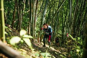 BIB: 
                            <button type="button" onclick="openModal(27925875)" class="btn btn-primary btn-sm float-right btn-popup" data-toggle="modal" data-target=".modal-high-quality">
                        <i class="fas fa-shopping-cart"></i> Add to Cart
                    </button>
                                            <button type="button" onclick="isThisMe(27925875, true)" class="btn btn-success btn-sm float-right btn-popup btn-isme hidden" data-toggle="tooltip" data-placement="bottom" title="นี่คือรูปของคุณใช่ไหม คลิกที่นี่เพื่อเอาเข้าอัลบั้ม">
                        <i class="fas fa-plus"></i> Add to album
                    </button>
                    <button type="button" onclick="isThisMe(27925875, false)" class="btn btn-warning btn-sm float-right btn-popup btn-isnotme hidden">
                        <i class="fas fa-ban"></i> Remove from album
                    </button>