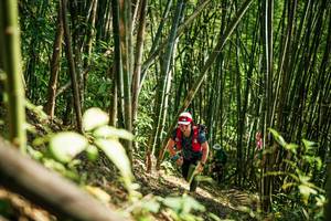 BIB: 
                            <button type="button" onclick="openModal(27925923)" class="btn btn-primary btn-sm float-right btn-popup" data-toggle="modal" data-target=".modal-high-quality">
                        <i class="fas fa-shopping-cart"></i> Add to Cart
                    </button>
                                            <button type="button" onclick="isThisMe(27925923, true)" class="btn btn-success btn-sm float-right btn-popup btn-isme hidden" data-toggle="tooltip" data-placement="bottom" title="นี่คือรูปของคุณใช่ไหม คลิกที่นี่เพื่อเอาเข้าอัลบั้ม">
                        <i class="fas fa-plus"></i> Add to album
                    </button>
                    <button type="button" onclick="isThisMe(27925923, false)" class="btn btn-warning btn-sm float-right btn-popup btn-isnotme hidden">
                        <i class="fas fa-ban"></i> Remove from album
                    </button>