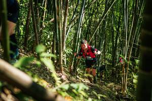 BIB: 
                            <button type="button" onclick="openModal(27925339)" class="btn btn-primary btn-sm float-right btn-popup" data-toggle="modal" data-target=".modal-high-quality">
                        <i class="fas fa-shopping-cart"></i> Add to Cart
                    </button>
                                            <button type="button" onclick="isThisMe(27925339, true)" class="btn btn-success btn-sm float-right btn-popup btn-isme hidden" data-toggle="tooltip" data-placement="bottom" title="นี่คือรูปของคุณใช่ไหม คลิกที่นี่เพื่อเอาเข้าอัลบั้ม">
                        <i class="fas fa-plus"></i> Add to album
                    </button>
                    <button type="button" onclick="isThisMe(27925339, false)" class="btn btn-warning btn-sm float-right btn-popup btn-isnotme hidden">
                        <i class="fas fa-ban"></i> Remove from album
                    </button>