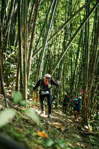 BIB: 
                            <button type="button" onclick="openModal(27923972)" class="btn btn-primary btn-sm float-right btn-popup" data-toggle="modal" data-target=".modal-high-quality">
                        <i class="fas fa-shopping-cart"></i> Add to Cart
                    </button>
                                            <button type="button" onclick="isThisMe(27923972, true)" class="btn btn-success btn-sm float-right btn-popup btn-isme hidden" data-toggle="tooltip" data-placement="bottom" title="นี่คือรูปของคุณใช่ไหม คลิกที่นี่เพื่อเอาเข้าอัลบั้ม">
                        <i class="fas fa-plus"></i> Add to album
                    </button>
                    <button type="button" onclick="isThisMe(27923972, false)" class="btn btn-warning btn-sm float-right btn-popup btn-isnotme hidden">
                        <i class="fas fa-ban"></i> Remove from album
                    </button>