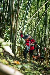 BIB: 
                            <button type="button" onclick="openModal(27925009)" class="btn btn-primary btn-sm float-right btn-popup" data-toggle="modal" data-target=".modal-high-quality">
                        <i class="fas fa-shopping-cart"></i> Add to Cart
                    </button>
                                            <button type="button" onclick="isThisMe(27925009, true)" class="btn btn-success btn-sm float-right btn-popup btn-isme hidden" data-toggle="tooltip" data-placement="bottom" title="นี่คือรูปของคุณใช่ไหม คลิกที่นี่เพื่อเอาเข้าอัลบั้ม">
                        <i class="fas fa-plus"></i> Add to album
                    </button>
                    <button type="button" onclick="isThisMe(27925009, false)" class="btn btn-warning btn-sm float-right btn-popup btn-isnotme hidden">
                        <i class="fas fa-ban"></i> Remove from album
                    </button>