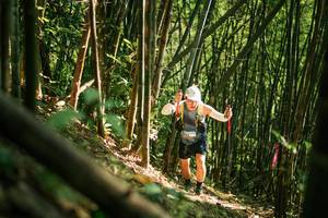 BIB: 
                            <button type="button" onclick="openModal(27922550)" class="btn btn-primary btn-sm float-right btn-popup" data-toggle="modal" data-target=".modal-high-quality">
                        <i class="fas fa-shopping-cart"></i> Add to Cart
                    </button>
                                            <button type="button" onclick="isThisMe(27922550, true)" class="btn btn-success btn-sm float-right btn-popup btn-isme hidden" data-toggle="tooltip" data-placement="bottom" title="นี่คือรูปของคุณใช่ไหม คลิกที่นี่เพื่อเอาเข้าอัลบั้ม">
                        <i class="fas fa-plus"></i> Add to album
                    </button>
                    <button type="button" onclick="isThisMe(27922550, false)" class="btn btn-warning btn-sm float-right btn-popup btn-isnotme hidden">
                        <i class="fas fa-ban"></i> Remove from album
                    </button>