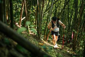 BIB: 
                            <button type="button" onclick="openModal(27922804)" class="btn btn-primary btn-sm float-right btn-popup" data-toggle="modal" data-target=".modal-high-quality">
                        <i class="fas fa-shopping-cart"></i> Add to Cart
                    </button>
                                            <button type="button" onclick="isThisMe(27922804, true)" class="btn btn-success btn-sm float-right btn-popup btn-isme hidden" data-toggle="tooltip" data-placement="bottom" title="นี่คือรูปของคุณใช่ไหม คลิกที่นี่เพื่อเอาเข้าอัลบั้ม">
                        <i class="fas fa-plus"></i> Add to album
                    </button>
                    <button type="button" onclick="isThisMe(27922804, false)" class="btn btn-warning btn-sm float-right btn-popup btn-isnotme hidden">
                        <i class="fas fa-ban"></i> Remove from album
                    </button>