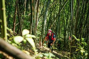 BIB: 
                            <button type="button" onclick="openModal(27925924)" class="btn btn-primary btn-sm float-right btn-popup" data-toggle="modal" data-target=".modal-high-quality">
                        <i class="fas fa-shopping-cart"></i> Add to Cart
                    </button>
                                            <button type="button" onclick="isThisMe(27925924, true)" class="btn btn-success btn-sm float-right btn-popup btn-isme hidden" data-toggle="tooltip" data-placement="bottom" title="นี่คือรูปของคุณใช่ไหม คลิกที่นี่เพื่อเอาเข้าอัลบั้ม">
                        <i class="fas fa-plus"></i> Add to album
                    </button>
                    <button type="button" onclick="isThisMe(27925924, false)" class="btn btn-warning btn-sm float-right btn-popup btn-isnotme hidden">
                        <i class="fas fa-ban"></i> Remove from album
                    </button>